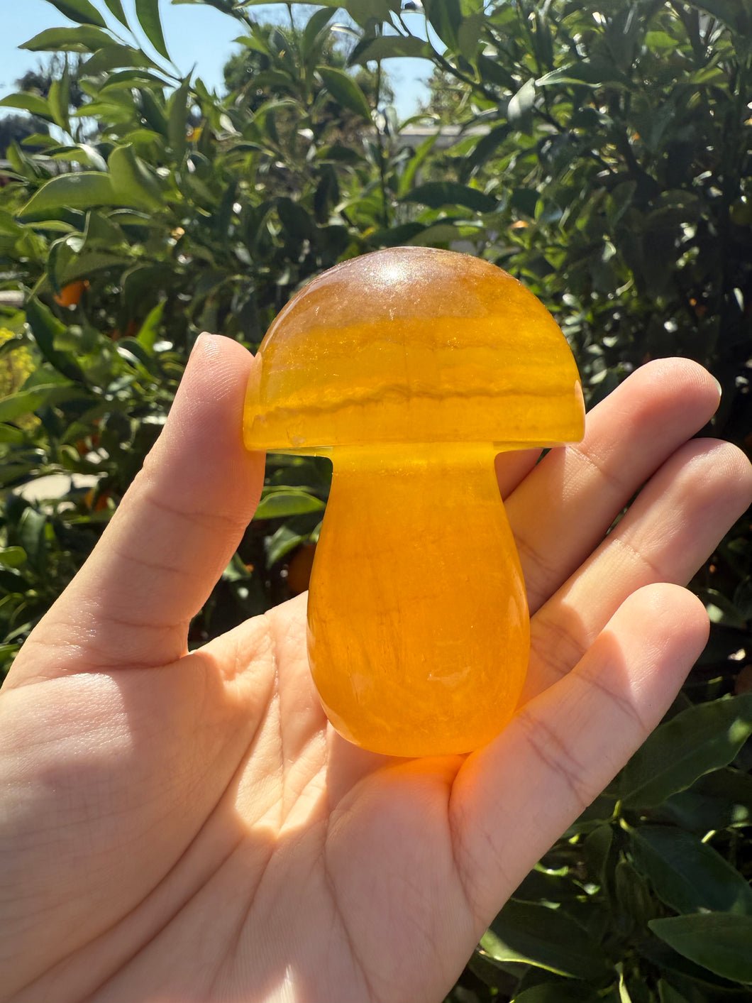 Large Natural Yellow Fluorite Mushroom Crystal, A83