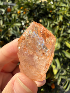 Red Mud Skeletal Quartz Crystal Point ,Petroleum Oil Quartz #02