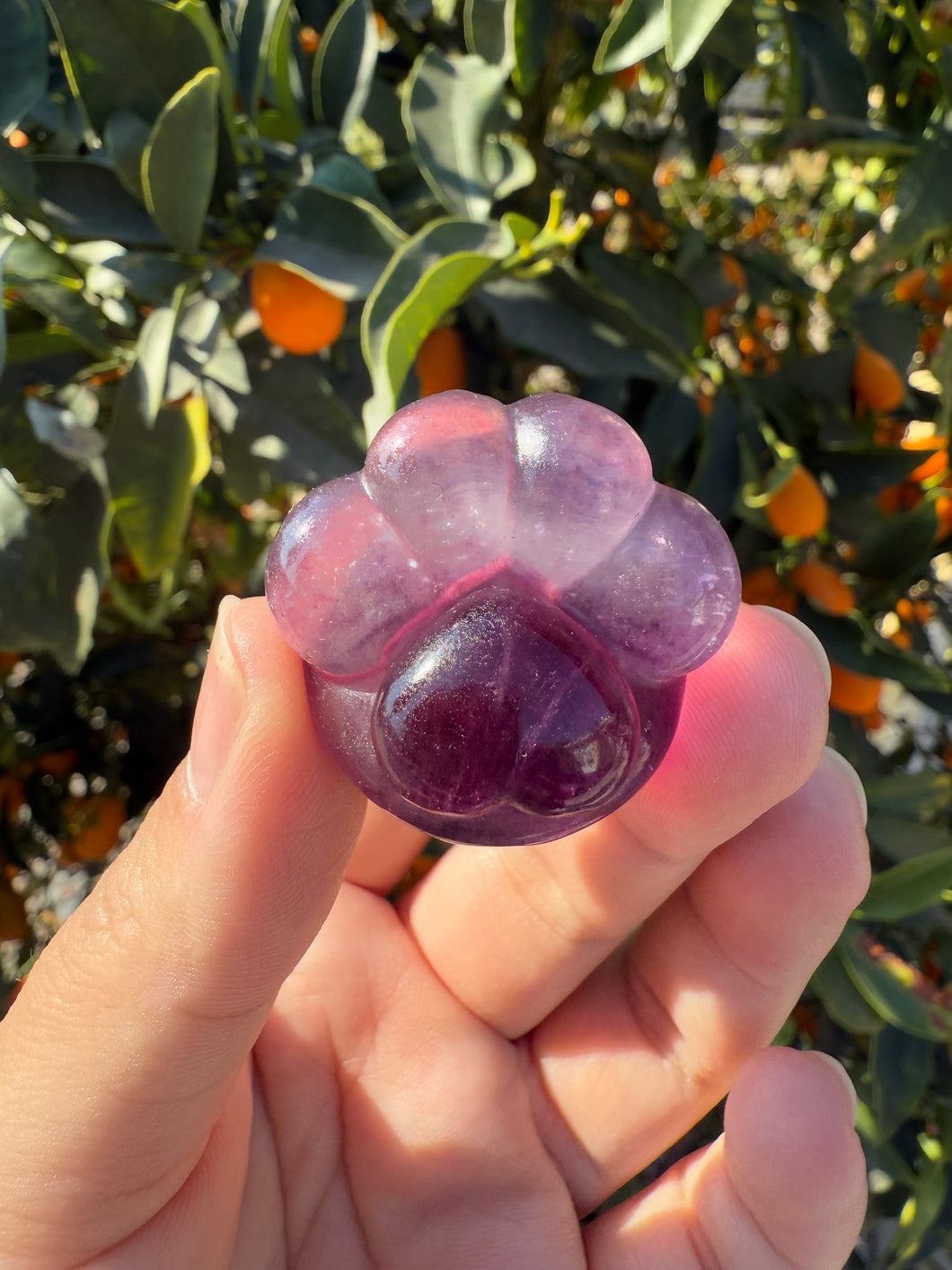 Large Purple Fluorite Paw