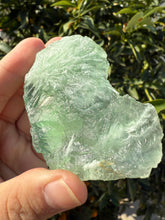 Load image into Gallery viewer, Natural Green Feather Fluorite Slab,fluorite Mineral Specimen
