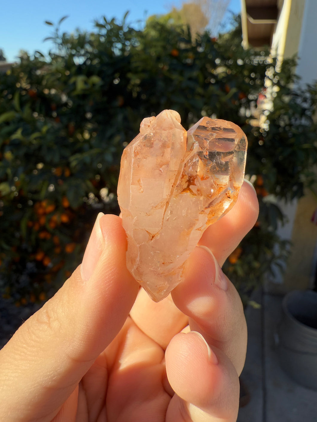 Red Mud Skeletal Quartz Crystal Point ,Red Mud Quartz,#973