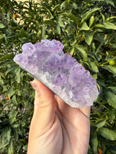 Load image into Gallery viewer, Natural Amethyst Cluster | Raw Crystal Specimen | Sparkling Lavender Quartz,A192

