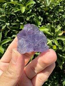 Mini Purple Cubic Fluorite Cluster,Mineral Specimen