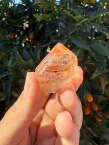 Red Mud Skeletal Quartz Crystal Point ,Red Mud Quartz ,#978