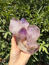 Load image into Gallery viewer, Amethyst Quartz Cluster,Amethyst Cluster Point Reiki Healing Decor,A45
