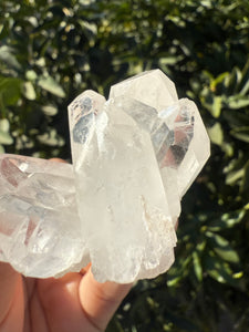 Clear Quartz Crystal Cluster