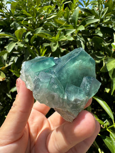 Green Cubic Fluorite fluorite cluster, fluorite Mineral Specimen D