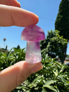 Mini Fluorite Mushroom Carving-1.43in