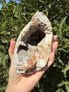 Natural Amethyst Geode with Agate Base, Raw Amethyst Crystal Cluster, A92