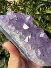 Load image into Gallery viewer, Natural Amethyst Cluster | Raw Crystal Specimen | Sparkling Lavender Quartz,A192
