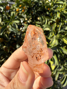 Red Mud Skeletal Quartz Crystal Point ,Petroleum Oil Quartz #02