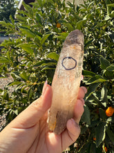 Load image into Gallery viewer, Trigonic Enhydro Quartz from Madagascar,Crystal Point with Water Inclusion,A101
