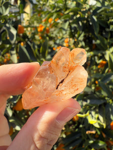 Red Mud Skeletal Quartz Crystal Point ,Red Mud Quartz ,#984