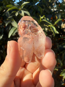 Red Mud Skeletal Quartz Crystal Point ,Red Mud Quartz ,#980