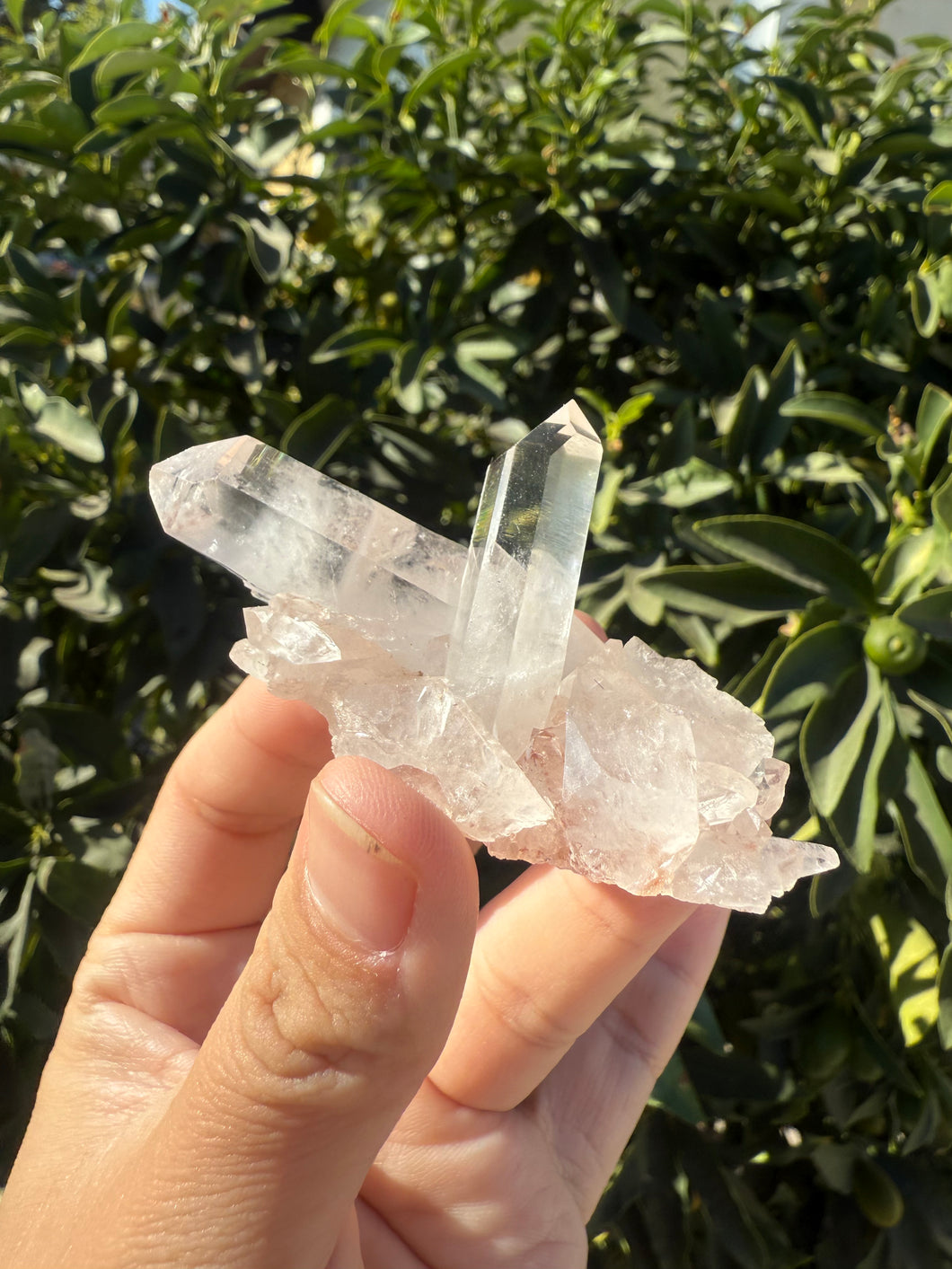 Clear quartz Natural Crystal Cluster