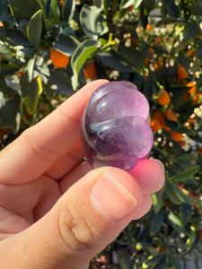 Large Purple Fluorite Paw