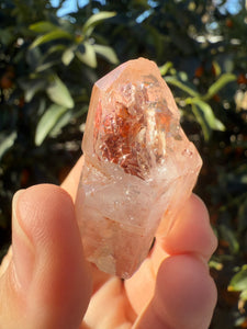 Red Mud Skeletal Quartz Crystal Point ,Red Mud Quartz ,#980