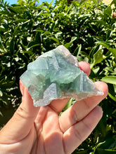 Load image into Gallery viewer, Green Cubic Fluorite fluorite cluster,fluorite Mineral Specimen A
