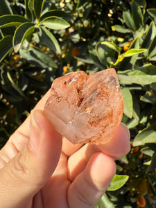 Red Mud Skeletal Quartz Crystal Point ,Petroleum Oil Quartz,#01