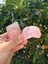 Load image into Gallery viewer, 2pcs Natural Rose Quartz with Unique Tree
