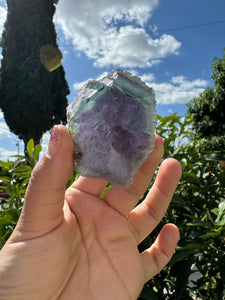 Purple green Gradient Fluorite Mineral Specimen