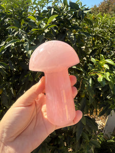 Large Rose Quartz Mushroom Crystal Sculpture