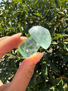 Small Green Fluorite Mushroom Carving-Fluorite Gemstone Mushroom,A140