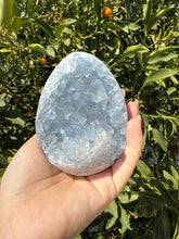 Load image into Gallery viewer, Celestite Geode Egg – Raw Celestine for Calming Energy,A57
