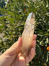 Load image into Gallery viewer, Trigonic Enhydro Quartz from Madagascar,Crystal Point with Water Inclusion,A101
