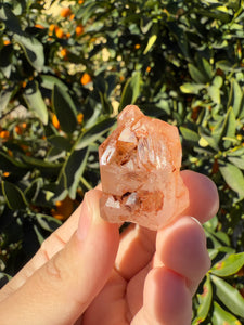 Red Mud Skeletal Quartz Crystal Point ,Red Mud Quartz,#991