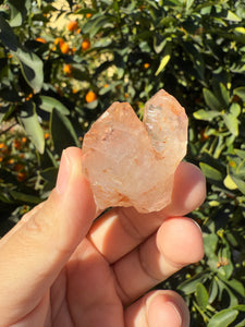 Red Mud Skeletal Quartz Crystal Point ,Red Mud Quartz,#990