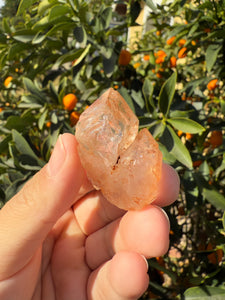 Red Mud Skeletal Quartz Crystal Point ,Red Mud Quartz,#985