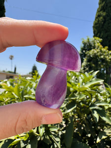 Small Fluorite Mushroom Carving-1.81in