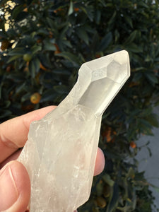 Clear Quartz Crystal Cluster #21