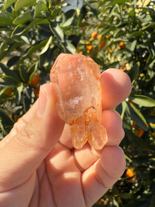 Red Mud Skeletal Quartz Crystal Point ,Red Mud Quartz ,#984