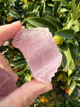 Load image into Gallery viewer, 2pcs Natural Rose Quartz with Unique Tree
