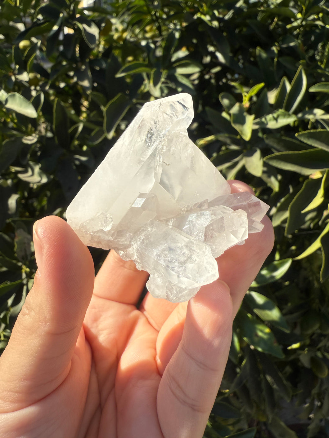 Clear Quartz Crystal Cluster