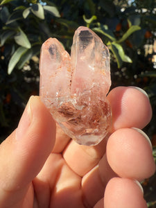 Red Mud Skeletal Quartz Crystal Point ,Red Mud Quartz ,#980