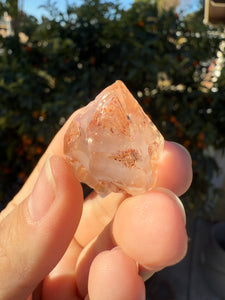 Red Mud Skeletal Quartz Crystal Point ,Red Mud Quartz ,#977