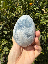 Load image into Gallery viewer, Celestite Geode Egg – Raw Celestine for Calming Energy,A57
