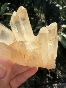 Small Raw Clear Quartz Cluster,96g