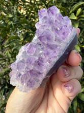 Load image into Gallery viewer, Natural Amethyst Cluster | Raw Crystal Specimen | Sparkling Lavender Quartz,A192
