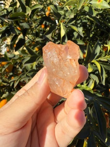 Red Mud Skeletal Quartz Point ,Red Mud Quartz ,#993