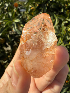 Red Mud Skeletal Quartz Crystal Point ,Petroleum Oil Quartz #02