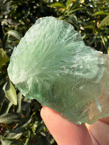 Natural Green Feather Fluorite Slab,fluorite Mineral Specimen