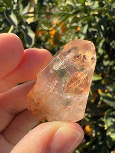 Red Mud Skeletal Quartz Crystal Point ,Red Mud Quartz ,#981