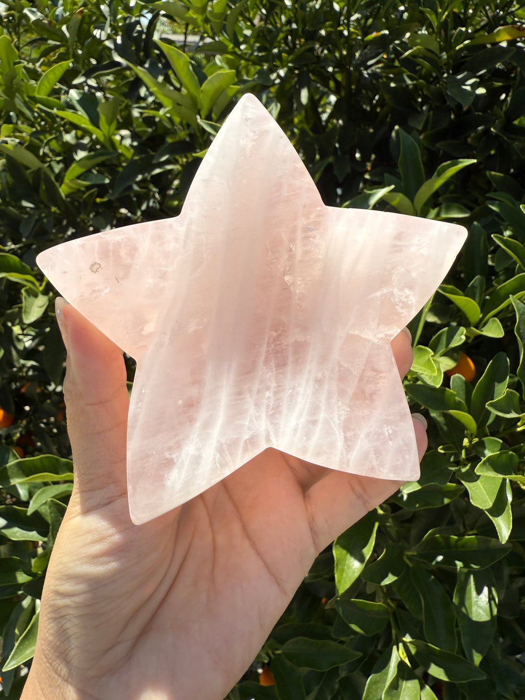 Star Rose Quartz Crystal Bowl, Polished Rose Quartz Dish-Rose Quartz Tray,B87