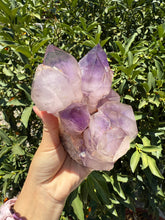 Load image into Gallery viewer, Amethyst Quartz Cluster,Amethyst Cluster Point Reiki Healing Decor,A45
