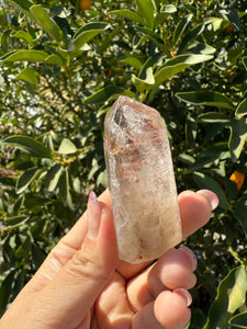 Trigonic Enhydro Quartz from Madagascar,Crystal Point with Water Inclusion,A98