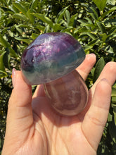 Load image into Gallery viewer, Large Natural Purple Green Fluorite Mushroom Crystal Fluorite Mushroom Sculpture
